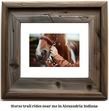 horse trail rides near me in Alexandria, Indiana